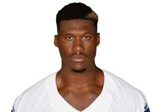 David Irving