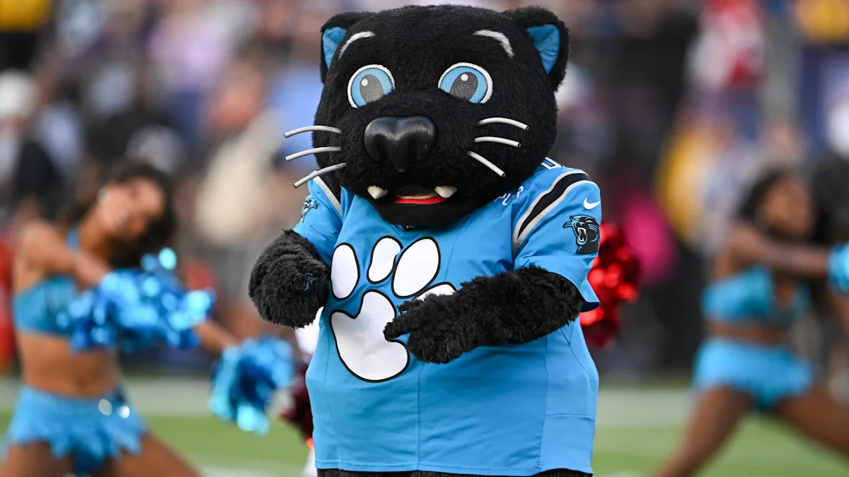 Sir Purr, mascote dos Panthers, se apresenta antes de uma partida.